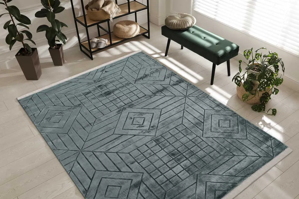 A patterned area rug in a bright living room after cleaning