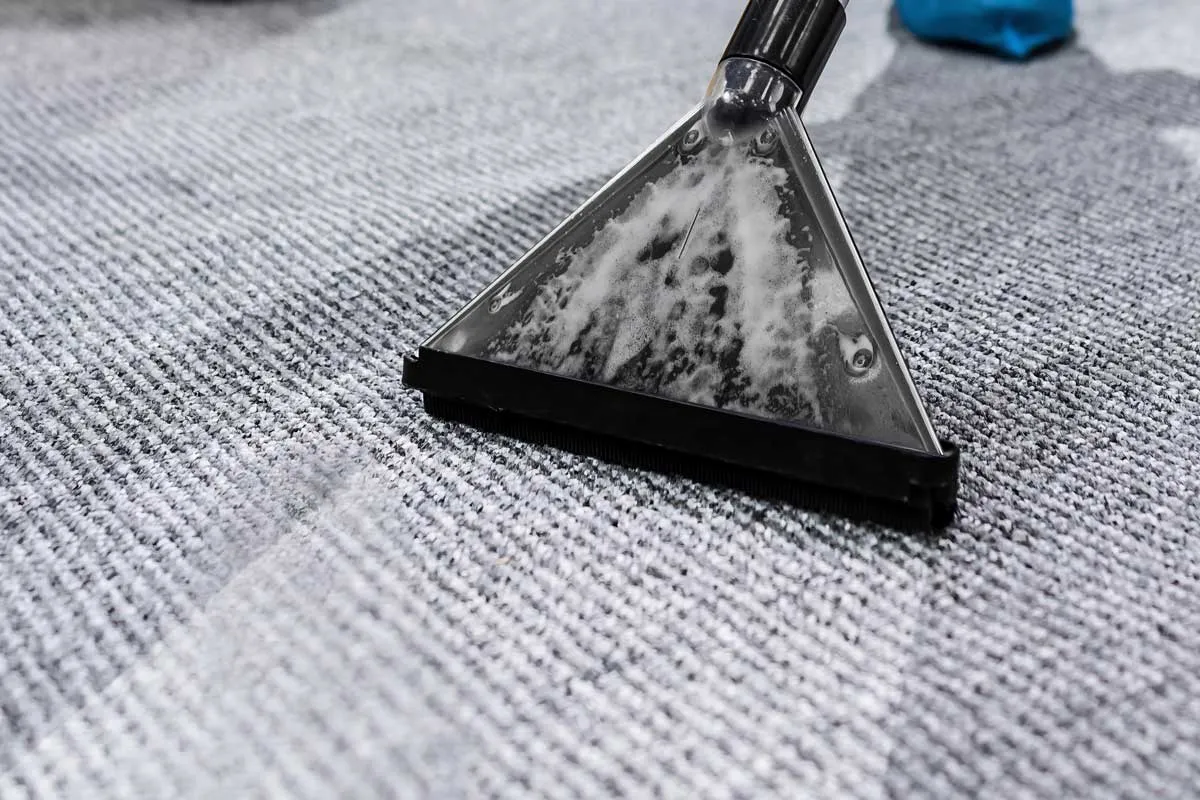 A steam extraction wand cleaning wall-to-wall carpet
